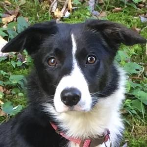 Meet your Posher, Janie